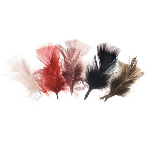 Natural Color Feaathers - All Purpose - Jewelry Trim Feathers - 14 grams